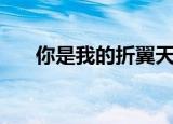你是我的折翼天使（殿下的折翼天使）