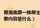 青海高原一株柳主要内容（青海高原一株柳主要内容是什么）