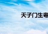 天子门生粤语（天子水浒版）