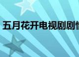 五月花开电视剧剧情介绍（五月花开电视剧）