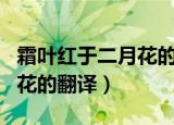 霜叶红于二月花的意思是什么（霜叶红于二月花的翻译）