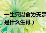 一生只以食为天是什么生肖（一生只以食为天是什么生肖）