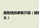 抛物线的参数方程（抛物线四种方程各对应的参数方程是什么）