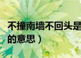 不撞南墙不回头是什么意思（不撞南墙不回头的意思）