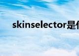 skinselector是什么意思（skinselect）