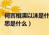 何言相濡以沫是什么意思（何言相濡以沫的意思是什么）