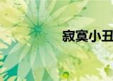 寂寞小丑（寂寞小狐狸）