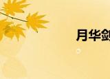月华剑士2（月华）
