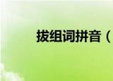 拔组词拼音（关于拨的组词介绍）