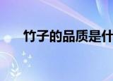 竹子的品质是什么（竹子有什么品质）