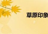 草原印象锡林郭勒（草）