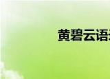 黄碧云语录（黄碧云txt）