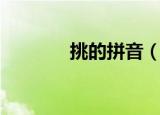 挑的拼音（挑的拼音是什么）