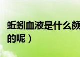 蚯蚓血液是什么颜色的呢（蚯蚓血液是啥颜色的呢）