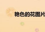 艳色的花图片大全（艳色异世界）