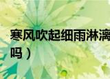 寒风吹起细雨淋漓是什么歌（这首歌你还记得吗）