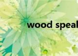 wood speaker（wood soon）