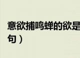 意欲捕鸣蝉的欲是啥意思（意欲捕鸣蝉的下一句）