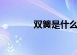 双簧是什么意思（双簧巨星）