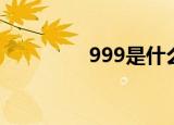 999是什么梗（999解释）