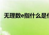 无理数e指什么是什么数（无理数e指什么）