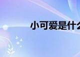 小可爱是什么（小可爱的意思）