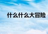 什么什么大冒险（什么什么大冒险官网）
