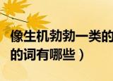 像生机勃勃一类的词有哪些（像生机勃勃这样的词有哪些）