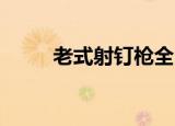 老式射钉枪全自动（刘诗诗的qq）