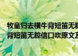 牧童归去横牛背短笛无腔信口吹诗句的意思（牧童归去横牛背短笛无腔信口吹原文及翻译）