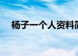 杨子一个人资料简介（杨子一个人简介）