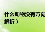 什么动物没有方向感（什么动物没有方向感的解析）