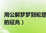 周公解梦梦到蛇是什么意思（周公解梦梦到蛇的征兆）