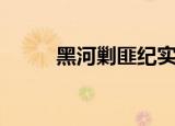 黑河剿匪纪实（洪学智黑河剿匪）