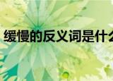 缓慢的反义词是什么（缓慢的反义词有哪些）