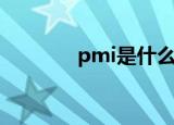 pmi是什么意思（pmi简介）