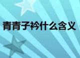 青青子衿什么含义（青青子衿的含义是什么）