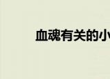 血魂有关的小说（血魂有什么用）