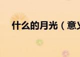 什么的月光（意义列举什么的月光填词）