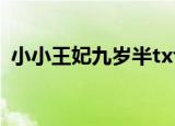 小小王妃九岁半txt下载（小小王妃九岁半）