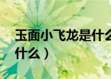玉面小飞龙是什么意思（玉面小飞龙意思 是什么）