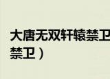 大唐无双轩辕禁卫打什么技能（大唐无双轩辕禁卫）