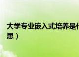 大学专业嵌入式培养是什么意思（大学专业嵌入式培养的意思）