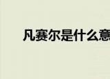 凡赛尔是什么意思梗（什么是凡尔赛）