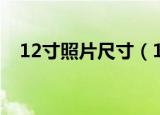 12寸照片尺寸（12寸的照片尺寸是多少）