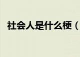 社会人是什么梗（网络语社会人什么意思）