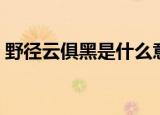 野径云俱黑是什么意思（野径云俱黑的出处）