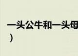 一头公牛和一头母牛猜三个字（简述解题思路）