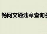 畅网交通违章查询系统（畅网交通违章查询）