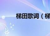 梯田歌词（梯田全部歌词是什么）